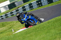 cadwell-no-limits-trackday;cadwell-park;cadwell-park-photographs;cadwell-trackday-photographs;enduro-digital-images;event-digital-images;eventdigitalimages;no-limits-trackdays;peter-wileman-photography;racing-digital-images;trackday-digital-images;trackday-photos